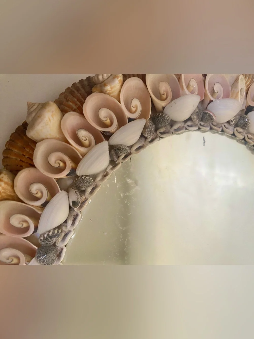 Vtg. Vintage Coquillage Seashell Oval Mirror Natural Shell Pastel Palette
